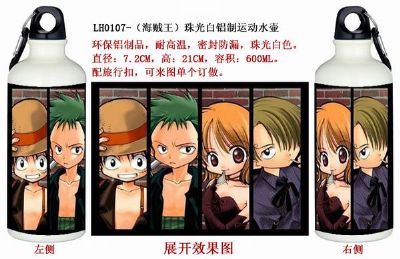 one piece anime bottle