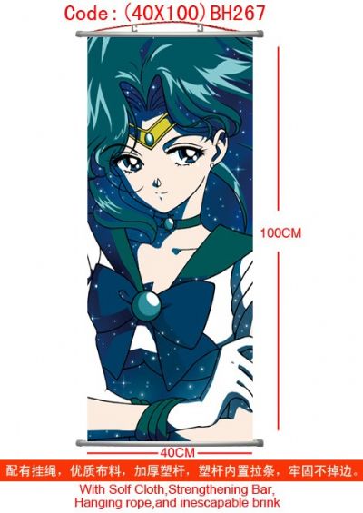 sailormoon anime wallscroll