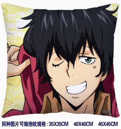 Hitman Reborn anime cushion