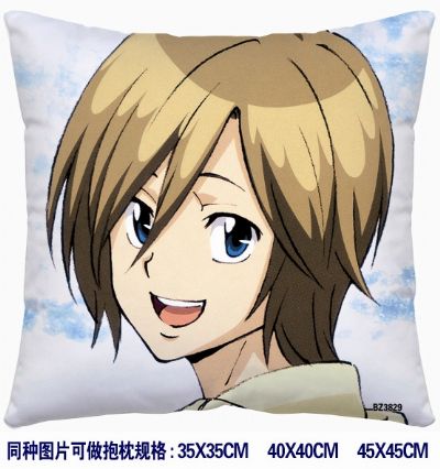 Hitman Reborn anime cushion