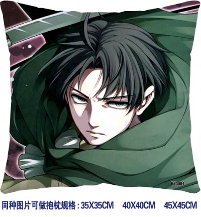 Attack on Titan anime cushion