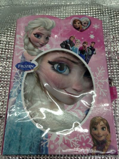 frozen notebook