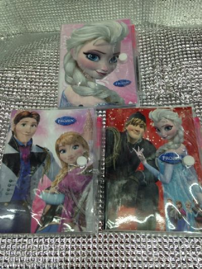 frozen mini notebook