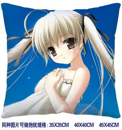 ainme cushion