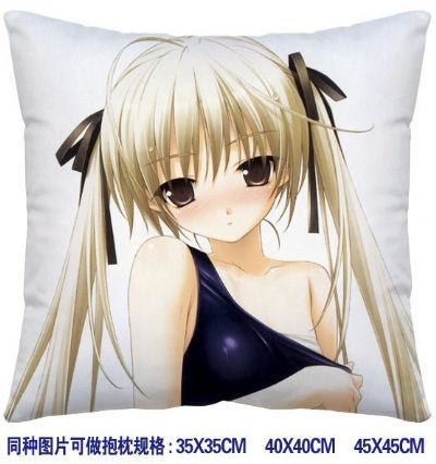 ainme cushion