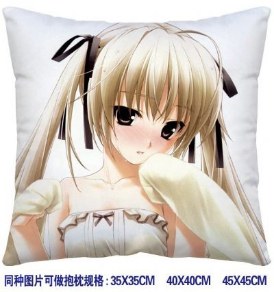 ainme cushion