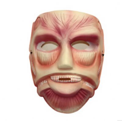 attack on titan anime mask