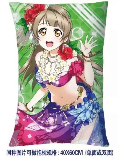 Love Live anime cushion