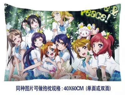 Love Live anime cushion