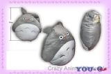 Totoro cushion