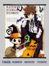 Hitman Reborn anime wallscroll