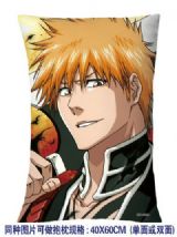 bleach anime cushion