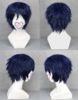 Fairy Tail Grey Cosplay Wig 212A