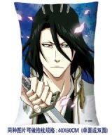 Bleach anime cushion