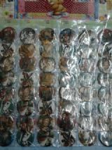 attack on titan anime brooch