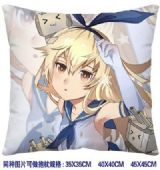 ainme cushion