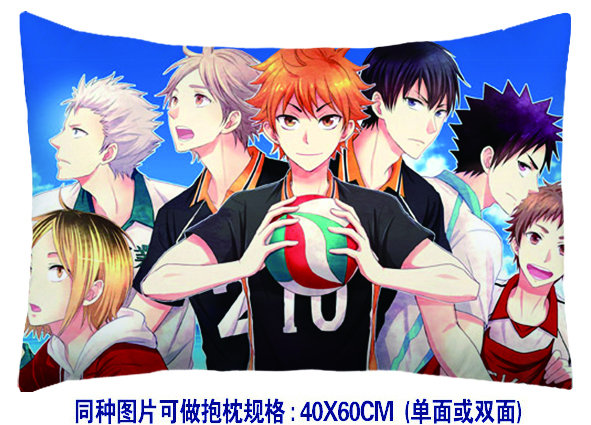 haikyuu anime pillow (40*60cm)