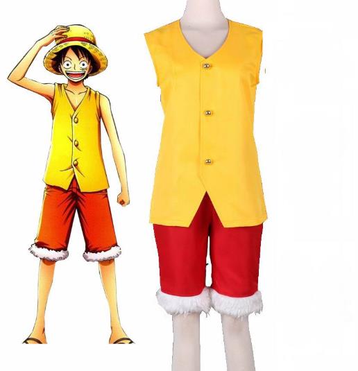 one piece anime cosplay