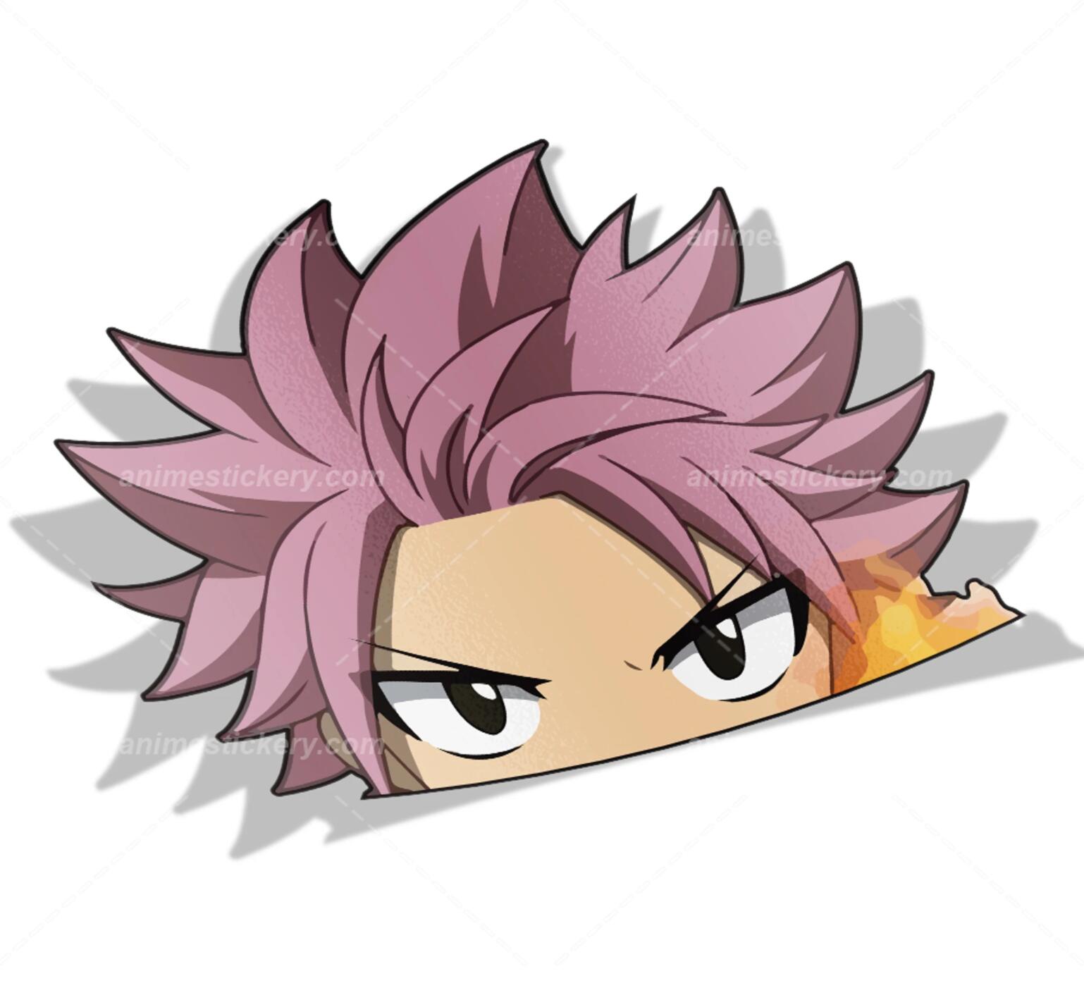 Fairy Tail anime car sticker 2 styles