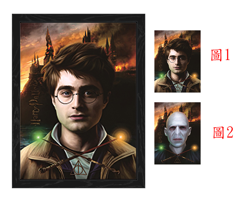 Harry Potter anime 3d poster painting with frame 29.5*39.5cm