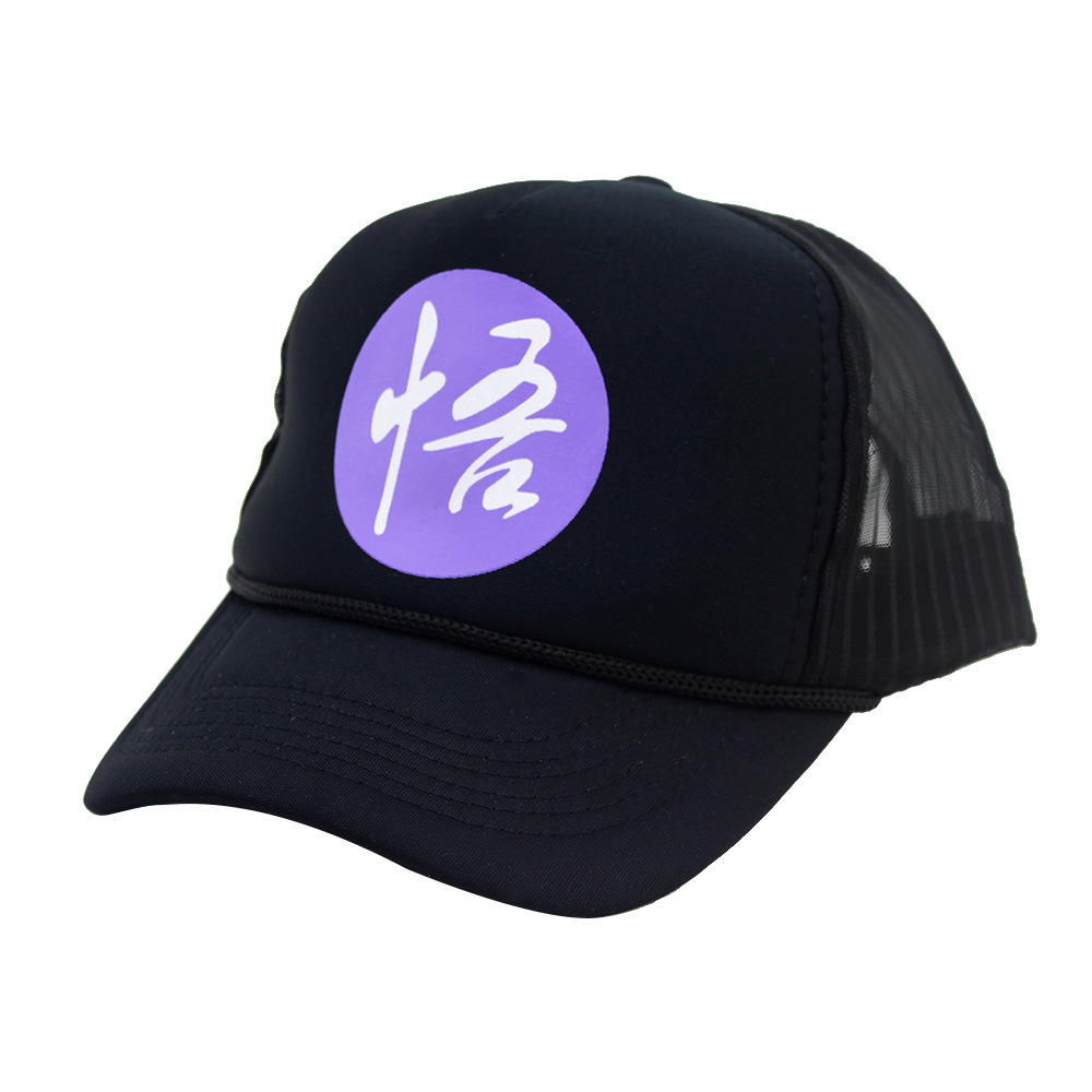 Dragon Ball anime hat