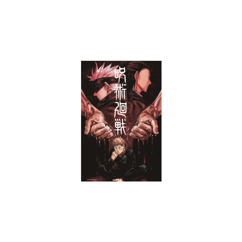 Jujutsu Kaisen anime fabric poster 42*30cm