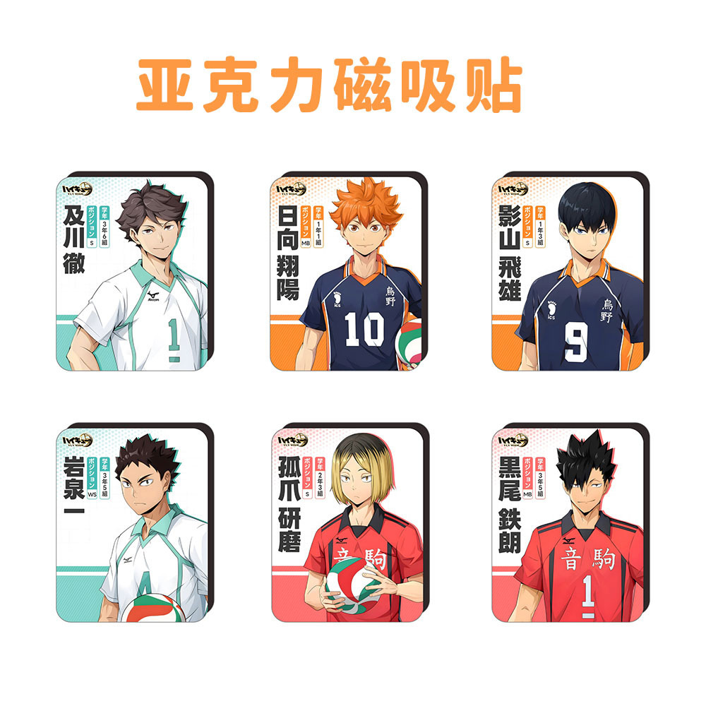 Haikyuu anime refrigerator