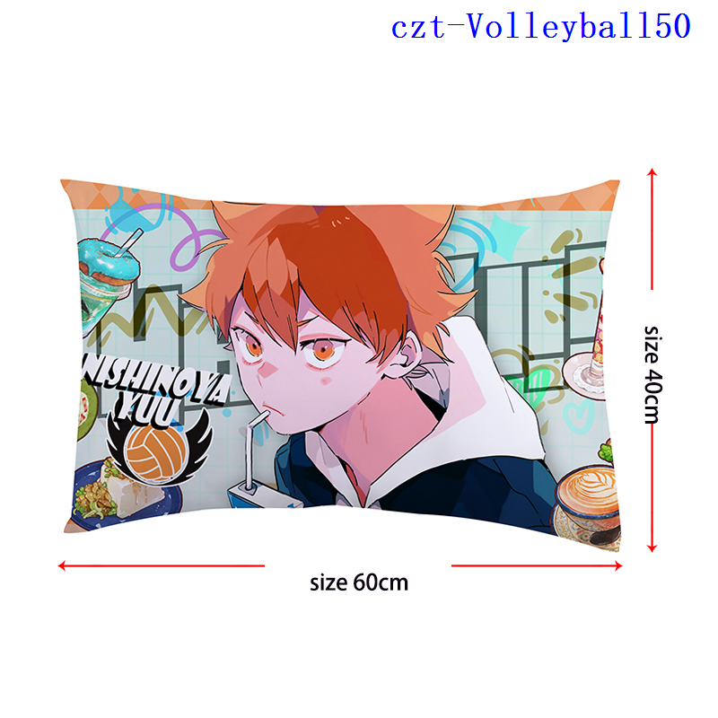 Haikyuu anime pillow cushion 40*60cm