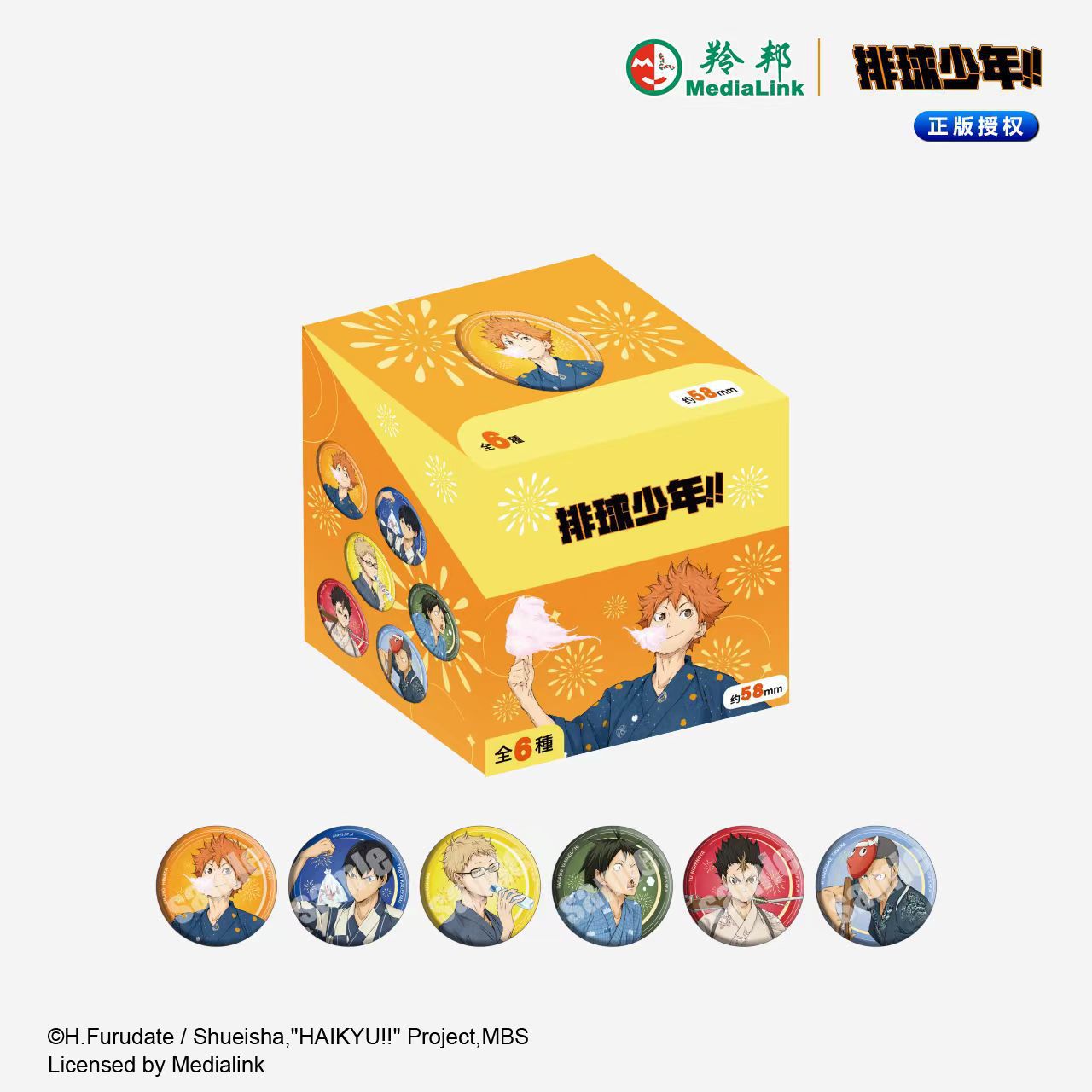 Haikyuu anime pin 6pcs a set