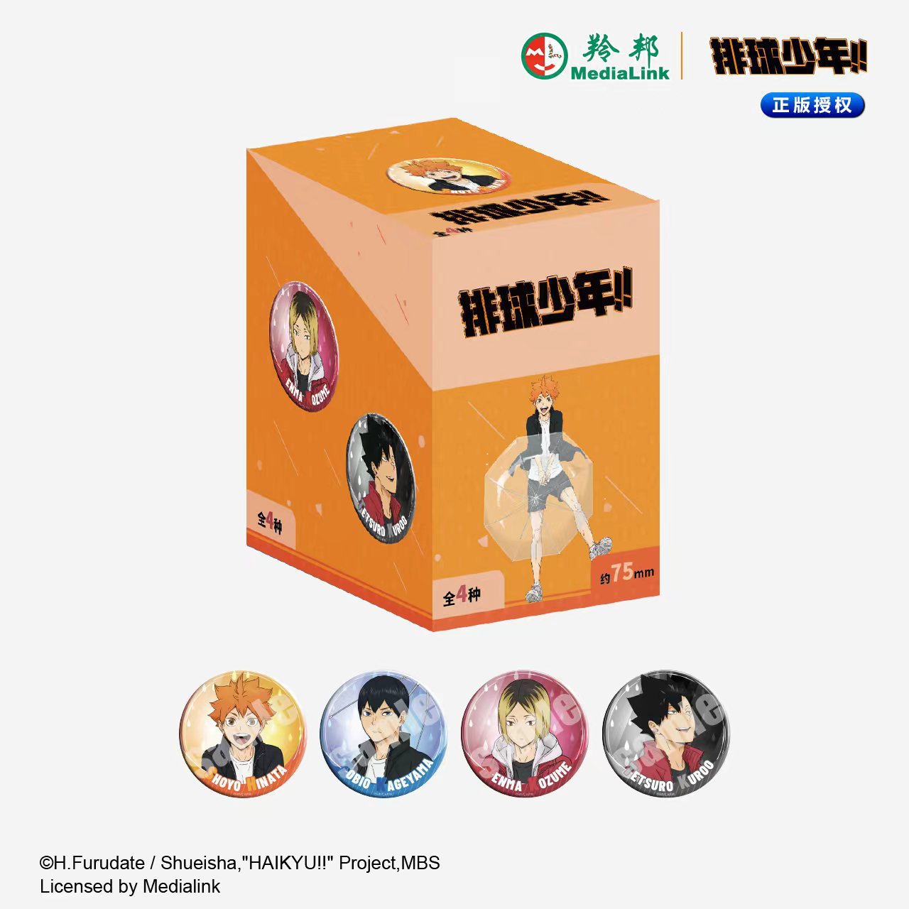 Haikyuu anime pin 4pcs a set