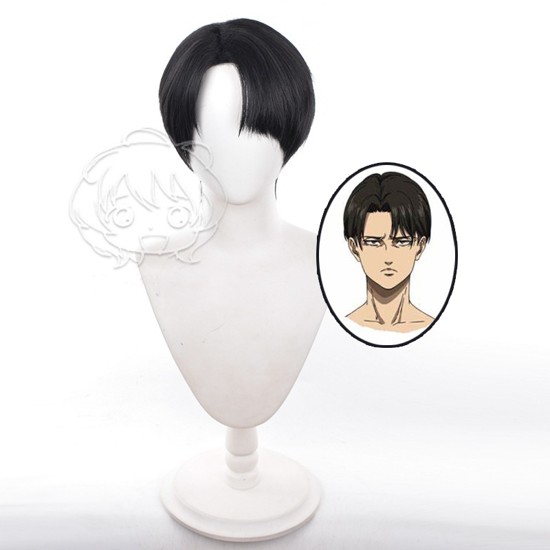 Attack on Titan anime wig