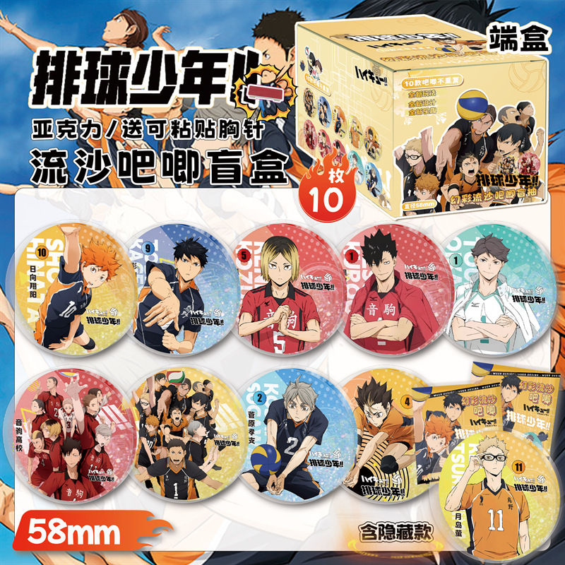 Haikyuu anime pin set