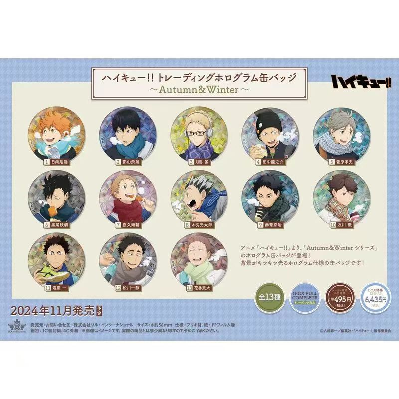 Haikyuu anime pin 13pcs a set