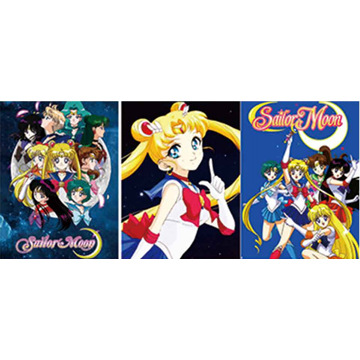 Sailor Moon Crystal anime 3D stereoscopic poster raster gradient painting (core 29.5*39.5m)