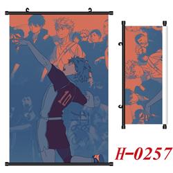 haikyuu anime wallscroll 60*90cm