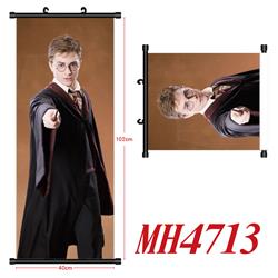 Harry Potter anime wallscroll 40*102cm