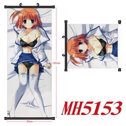 anime wallscroll 40*102cm