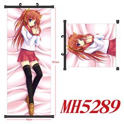Re:Zero kara Hajimeru Isekatsu anime wallscroll 40*102cm