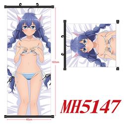 anime wallscroll 40*120cm