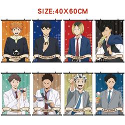 Haikyuu anime wallscroll 40*60cm