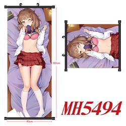 anime wallscroll 40*120cm