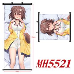 anime wallscroll 40*120cm