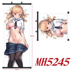 anime wallscroll 40*120cm