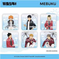 Haikyuu anime acrylic coater