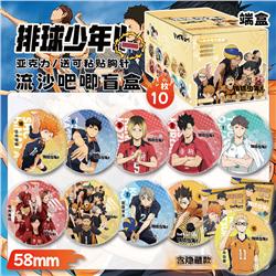 Haikyuu anime pin set