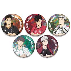 Haikyuu anime pin 5pcs a set