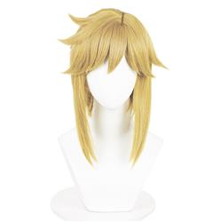 The Legend of Zelda anime wig