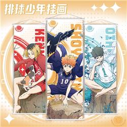 Haikyuu anime wallscroll 25*70cm