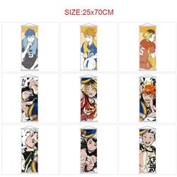 Haikyuu anime wallscroll 25*70cm price for 5 pcs