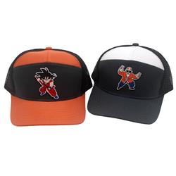 Dragon ball anime hat